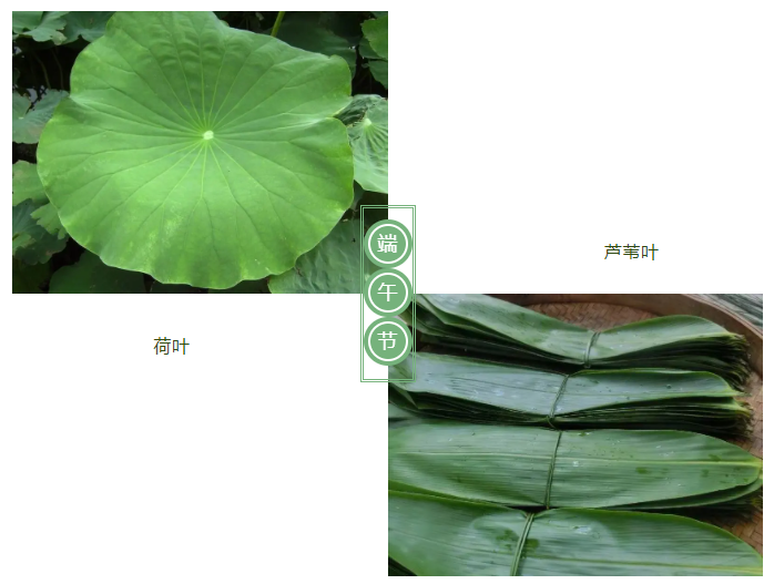 HJC黄金城医纺