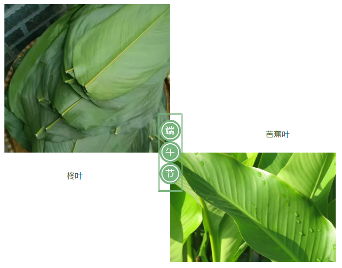 HJC黄金城医纺