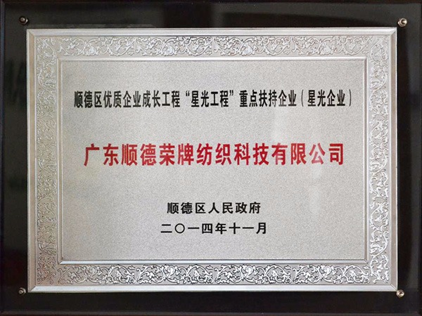 HJC黄金城-2012年获顺德政府颁发“星光企业”称号