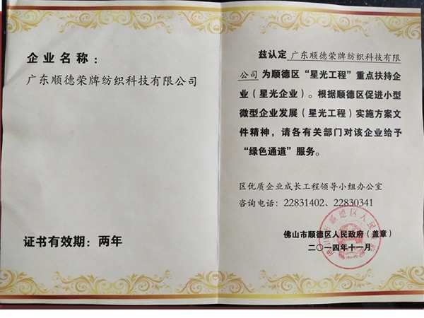 HJC黄金城荣获政府重点扶持企业